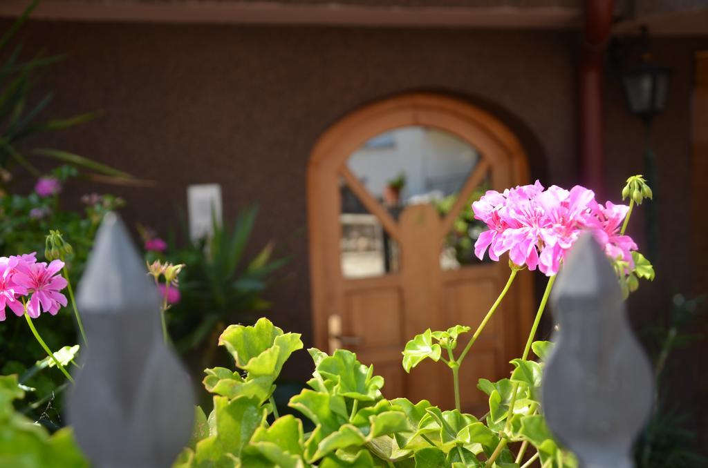 Villa Caci Ochrid Exteriér fotografie