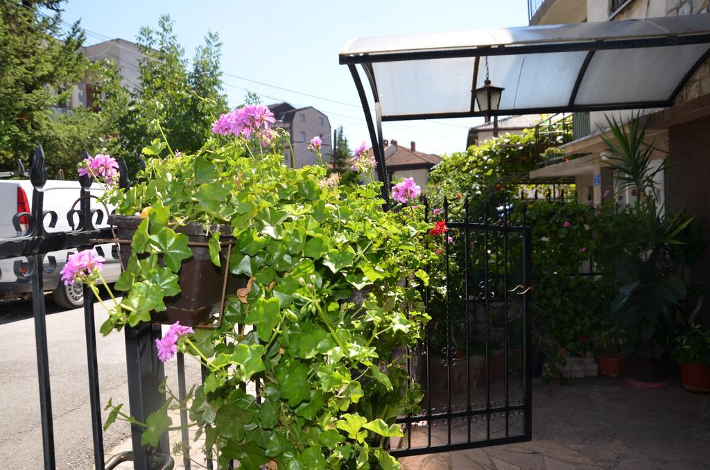 Villa Caci Ochrid Exteriér fotografie